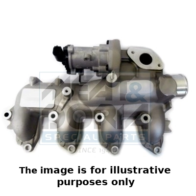 EGR Valve